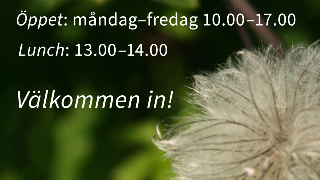 Tider